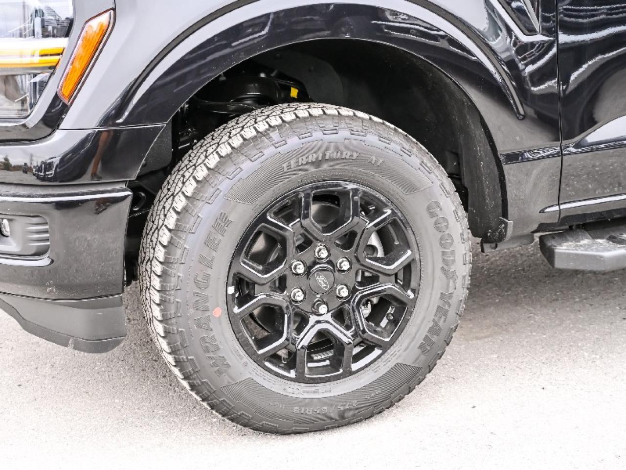 2025 Ford F-150 XLT Photo