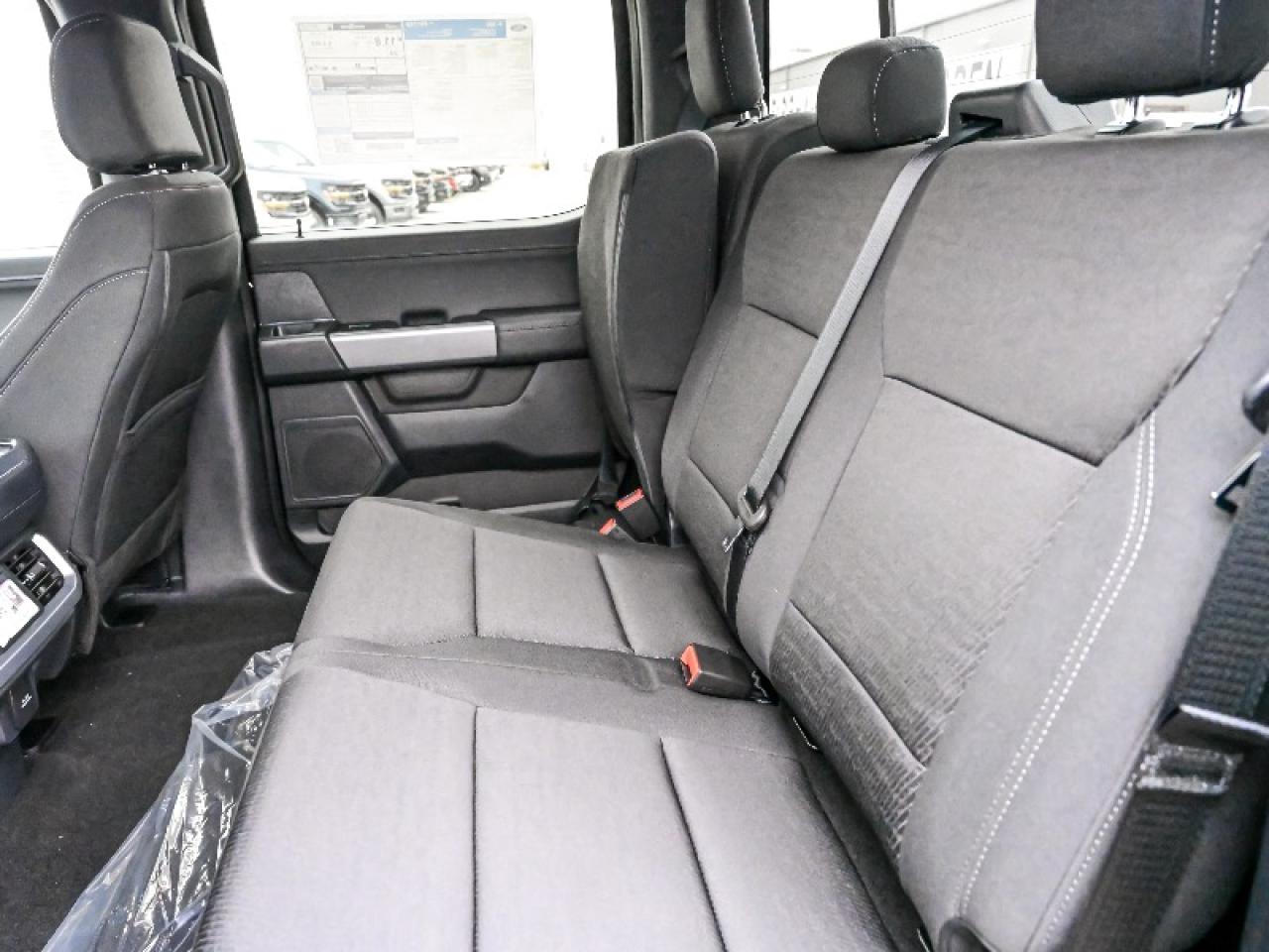 2025 Ford F-150 XLT Photo