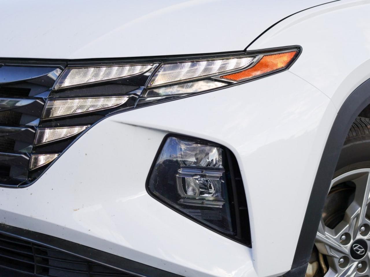 2024 Hyundai Tucson Trend  LEATHER SUNROOF Photo