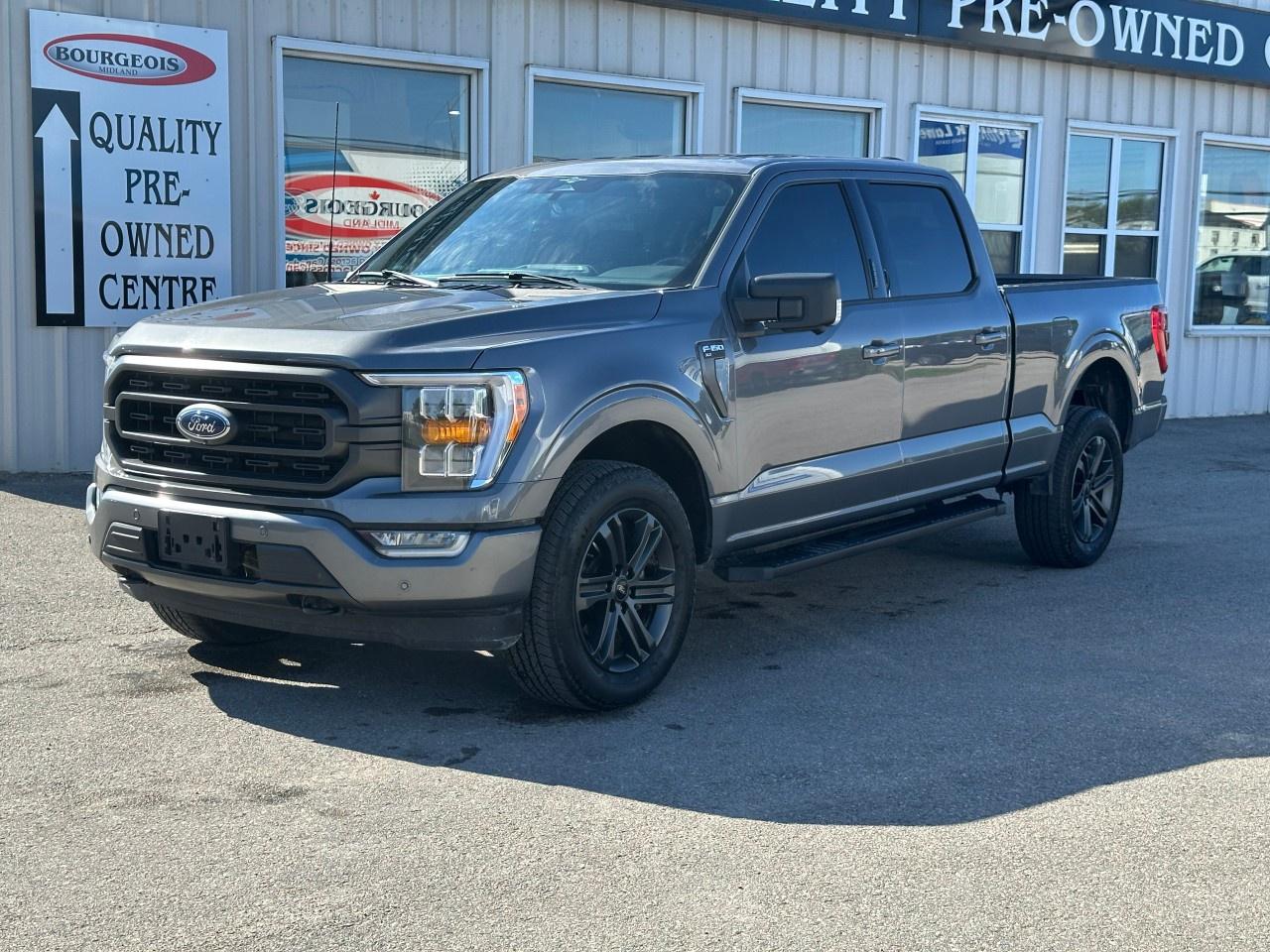 2023 Ford F-150 XLT 4WD SuperCrew 6.5' Box Photo