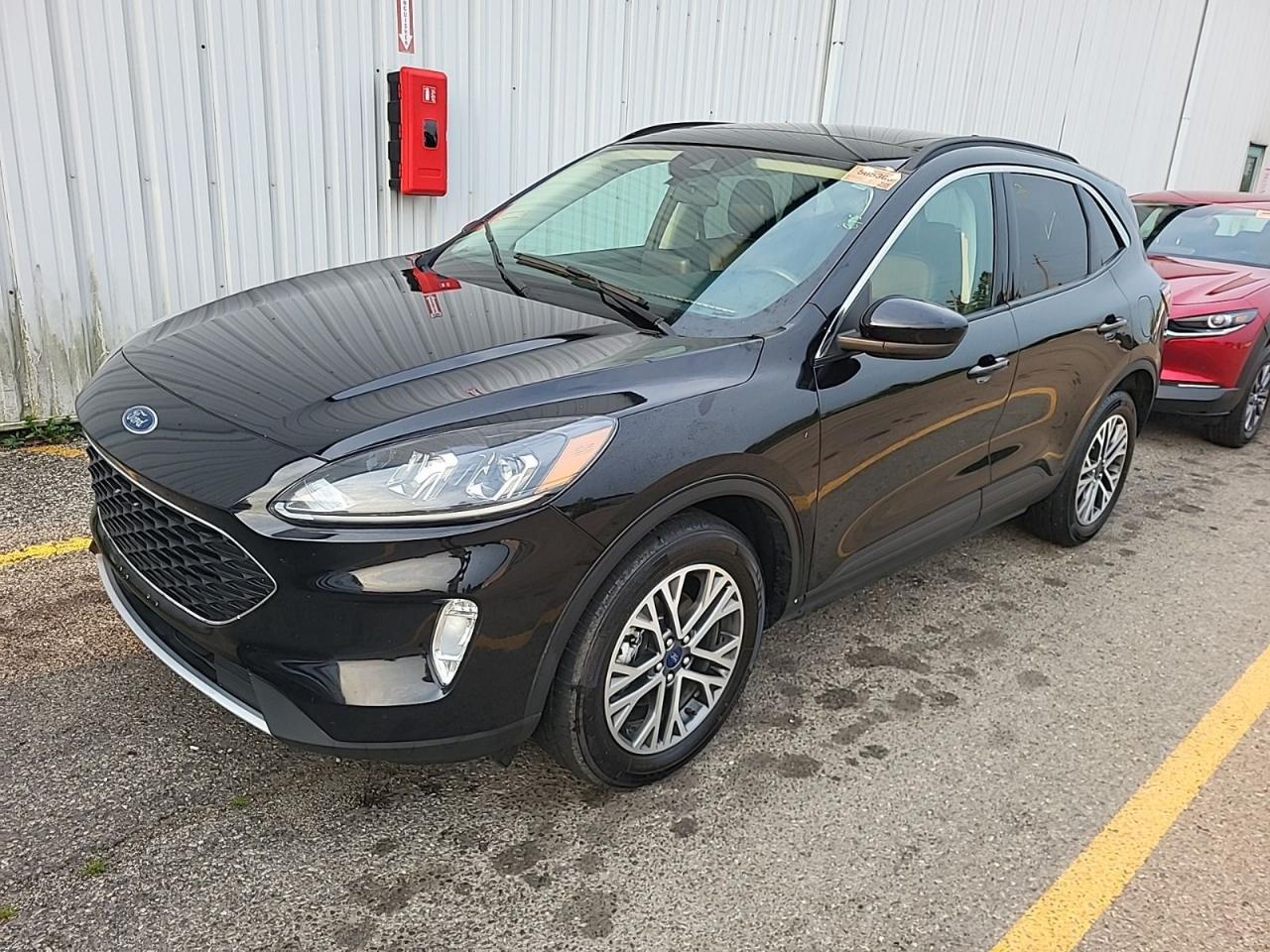 2021 Ford Escape SEL Photo0