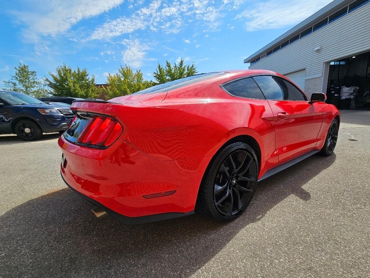 2016 Ford Mustang FASTBACK PREMIUM-AUTOMATIC-LEATHER-LOADED Photo