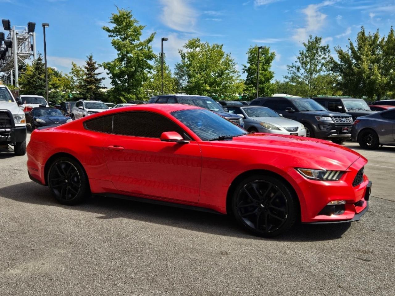2016 Ford Mustang FASTBACK PREMIUM-AUTOMATIC-LEATHER-LOADED Photo