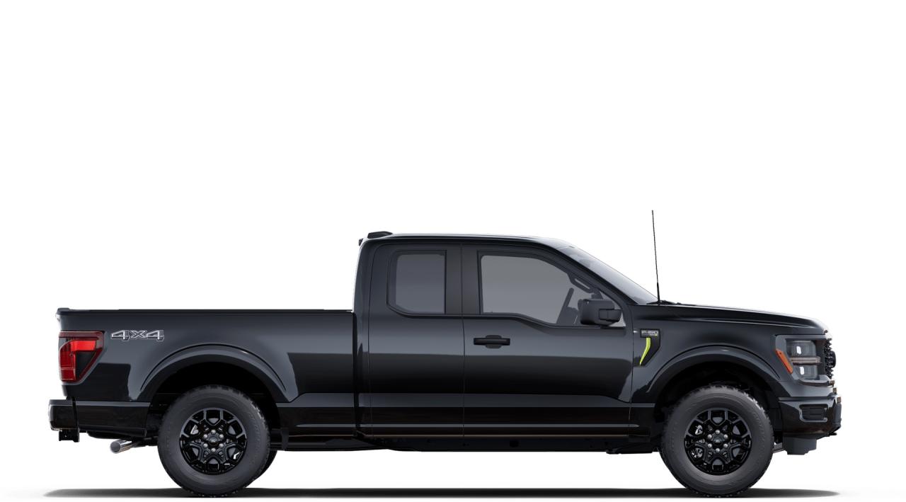 2025 Ford F-150 STX 4WD SUPERCAB 6.5' BOX Photo4