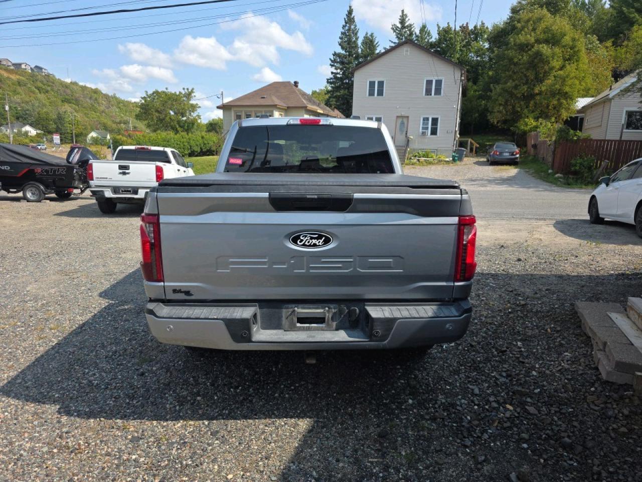 2025 Ford F-150 SUPERCREW XLT Photo3