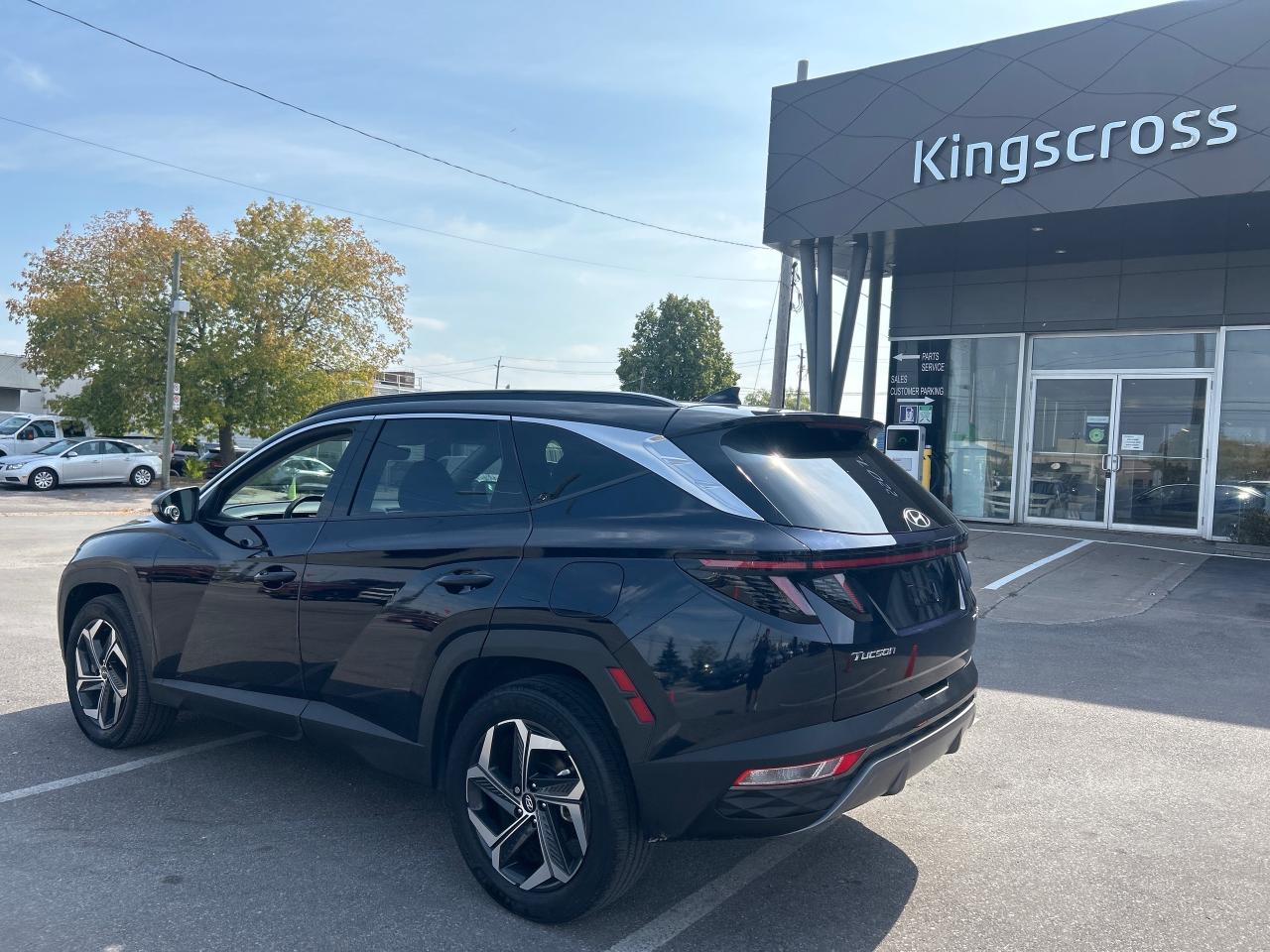 2024 Hyundai Tucson Hybrid Luxury Photo