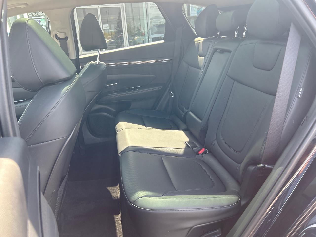 2024 Hyundai Tucson Hybrid Luxury Photo