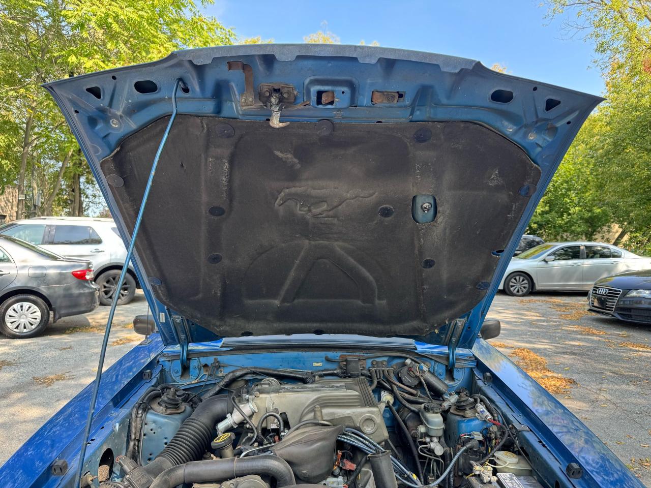1987 Ford Mustang 5.0L - Photo #19