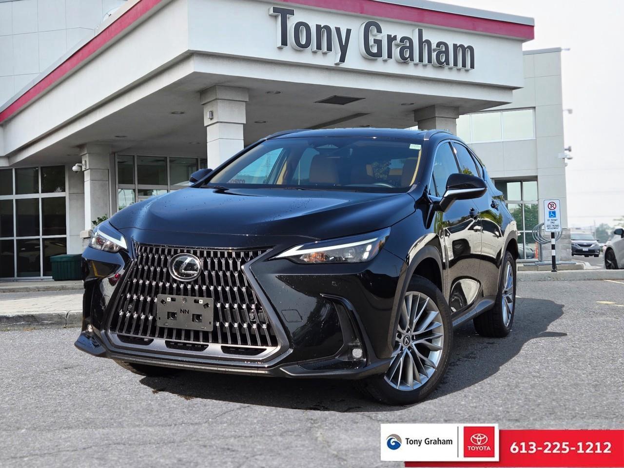 Used 2024 Lexus NX 350 for sale in Ottawa, ON