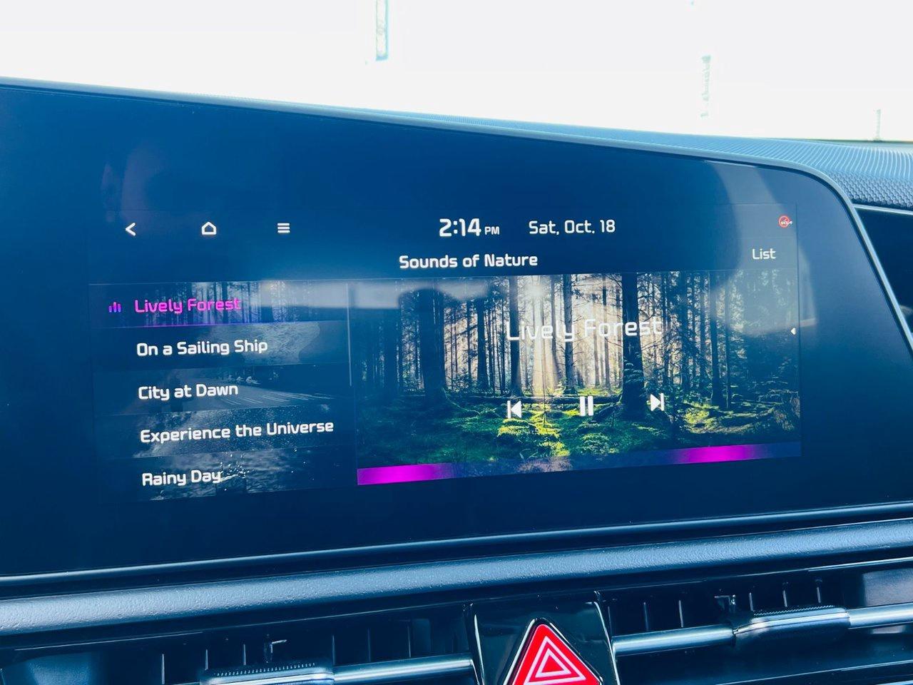 2026 Kia NIRO HEV EX Photo