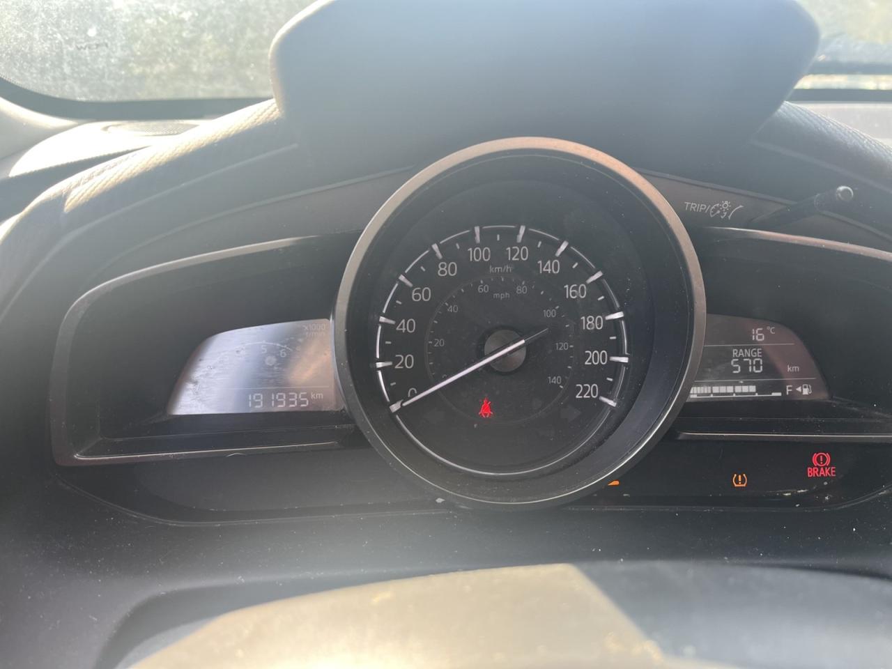12954062