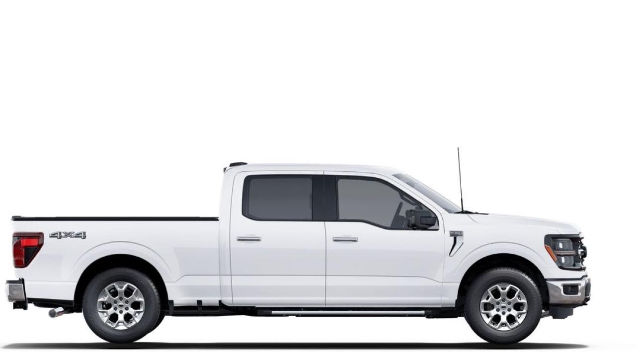 2025 Ford F-150 XLT Photo13