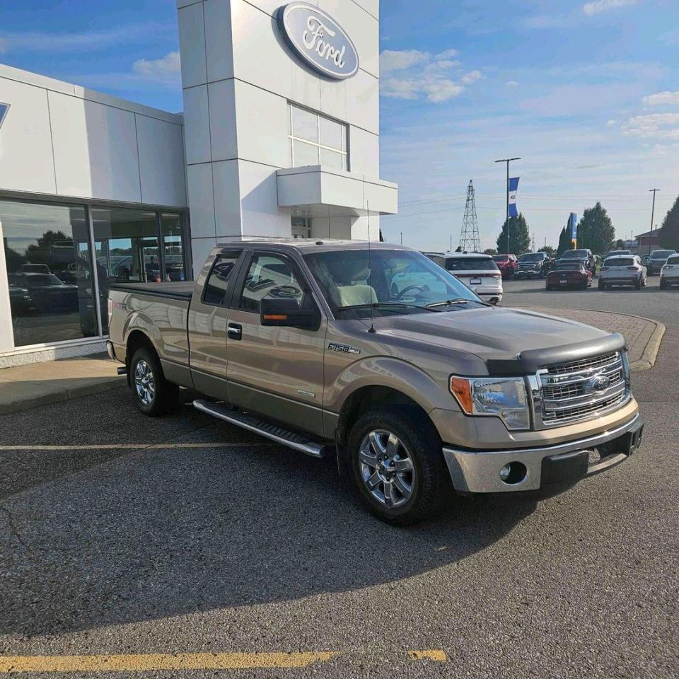 2013 Ford F-150 XLT Photo2
