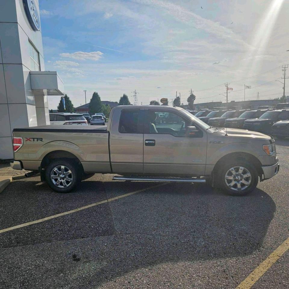 2013 Ford F-150 XLT Photo3