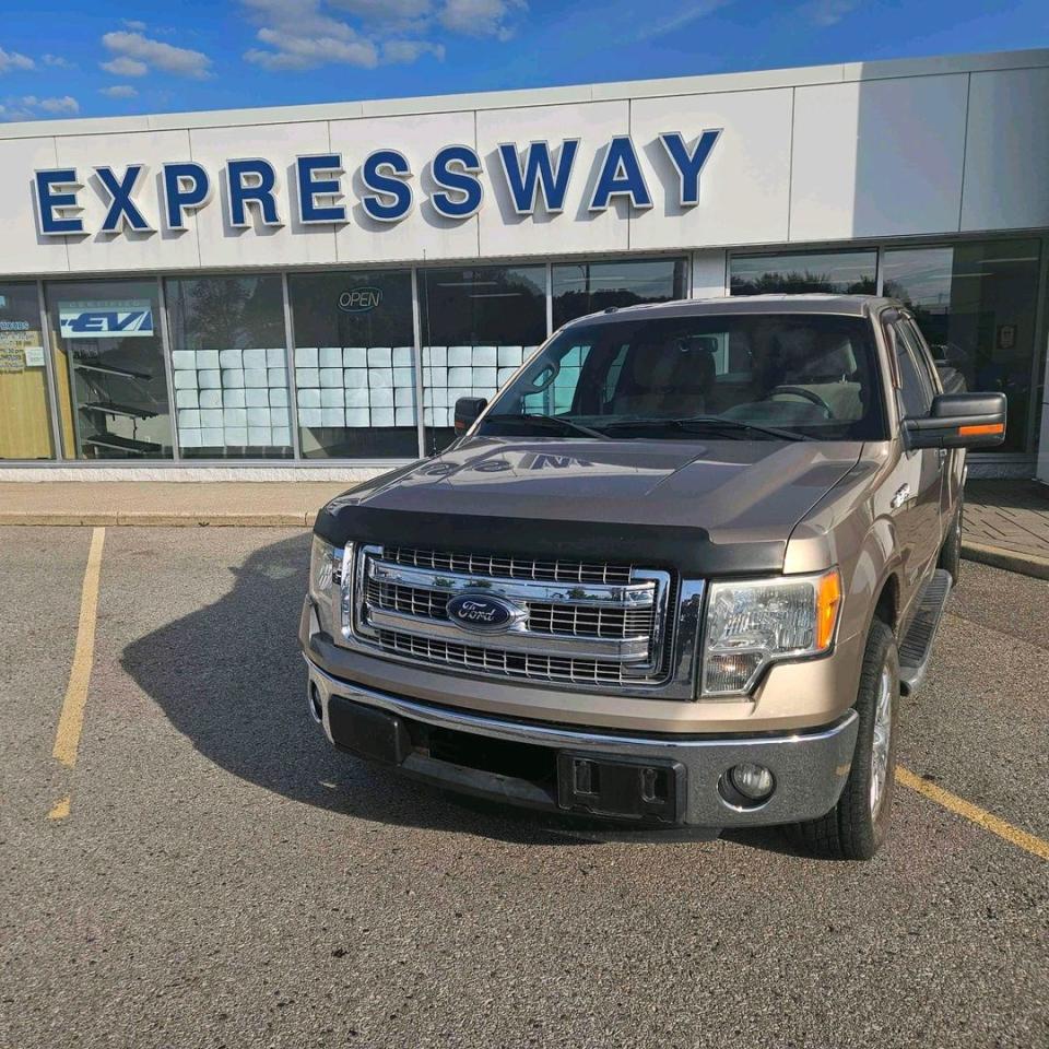 2013 Ford F-150 XLT Photo