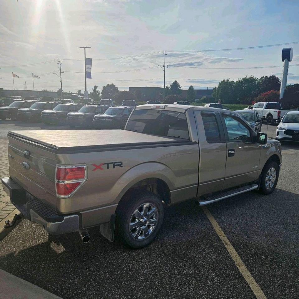 2013 Ford F-150 XLT Photo4