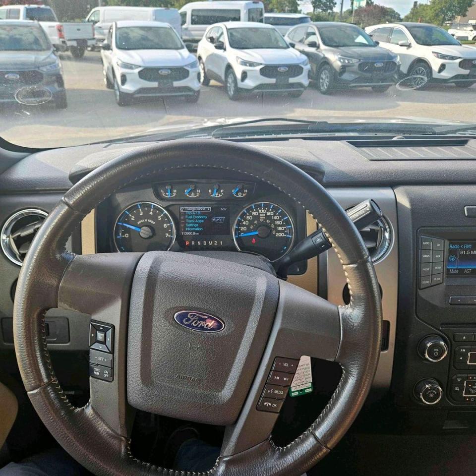 2013 Ford F-150 XLT Photo5