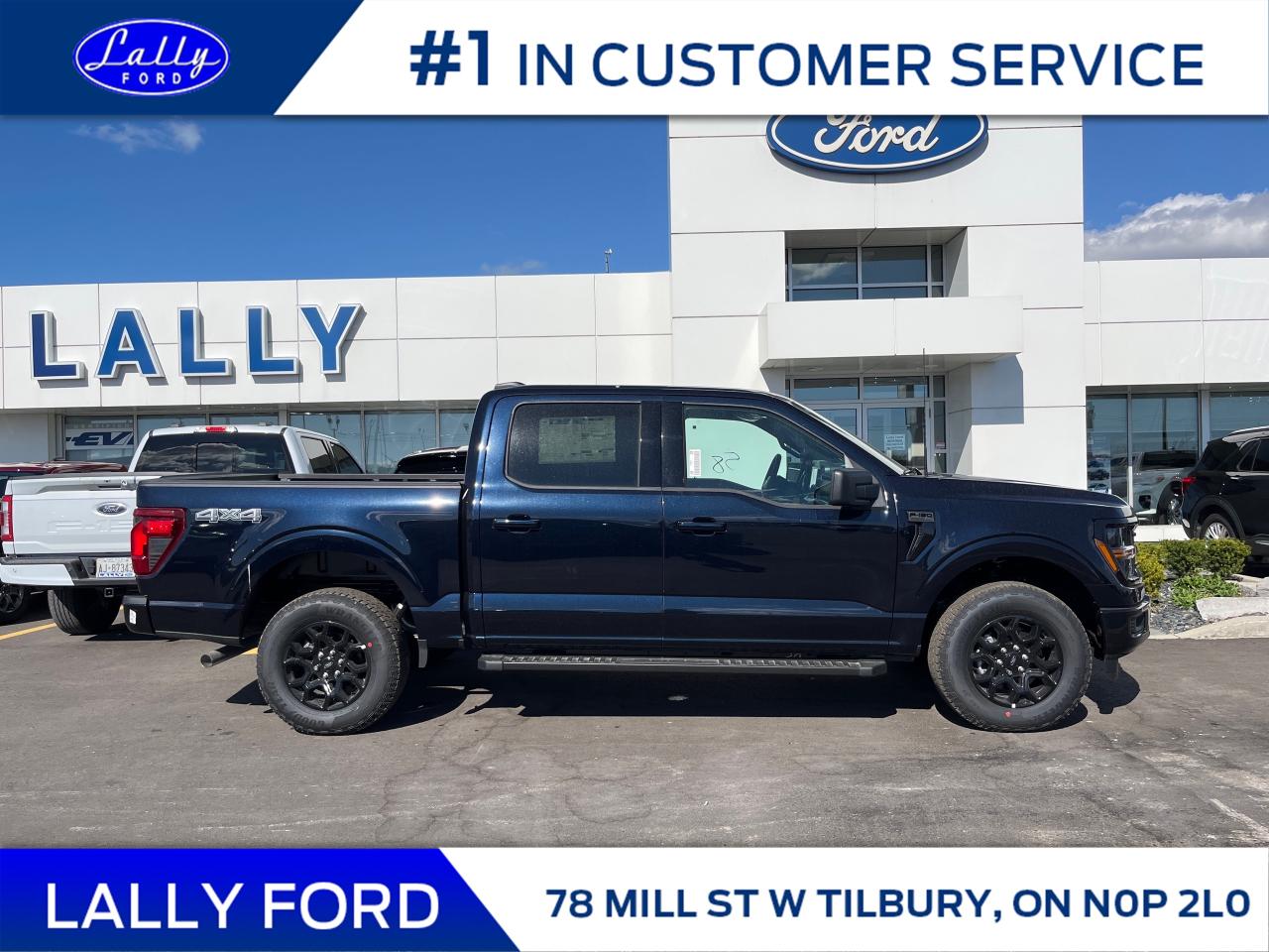 2025 Ford F-150 XLT Photo