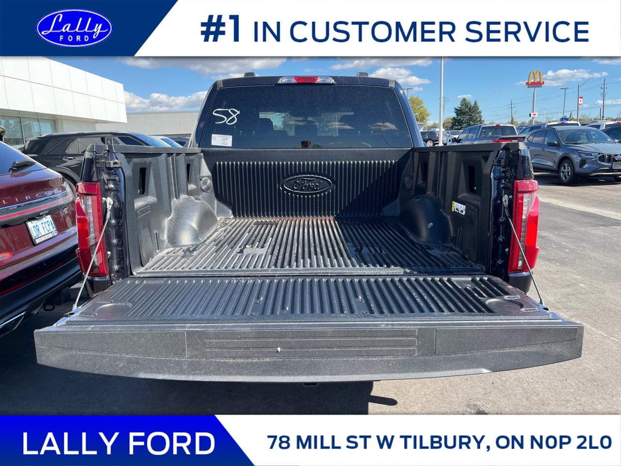 2025 Ford F-150 XLT Photo