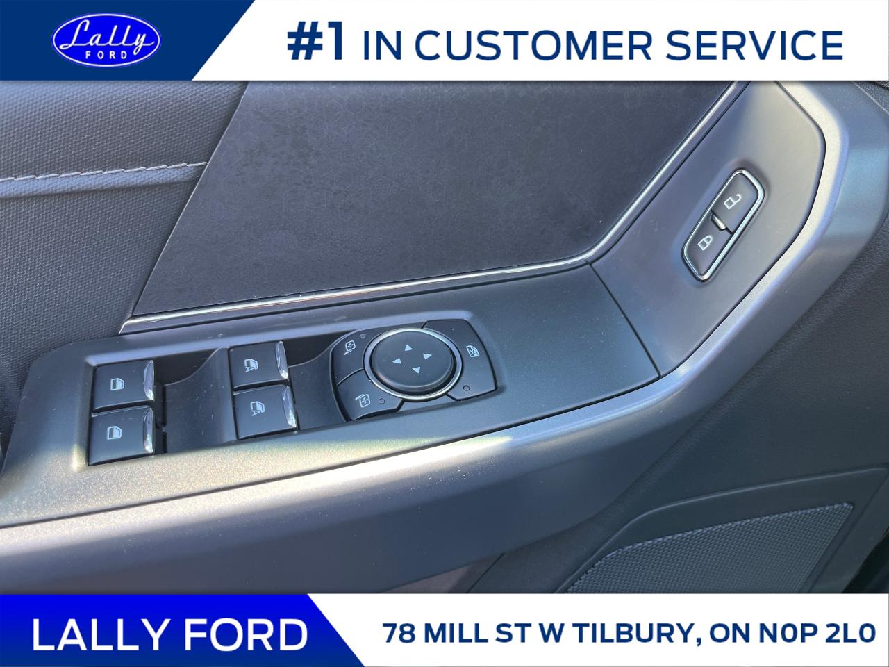 2025 Ford F-150 XLT Photo