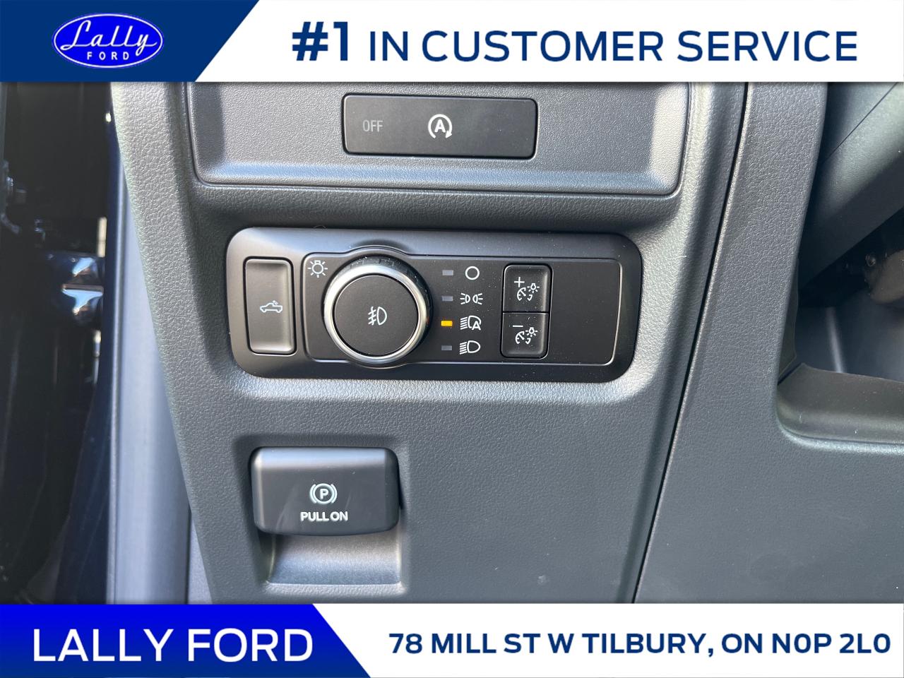 2025 Ford F-150 XLT Photo