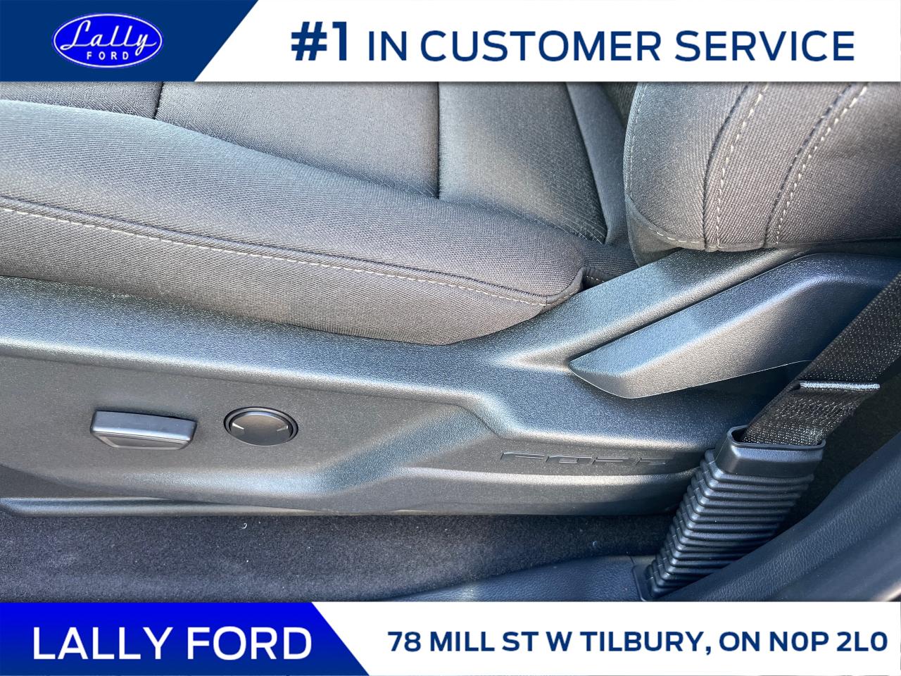 2025 Ford F-150 XLT Photo