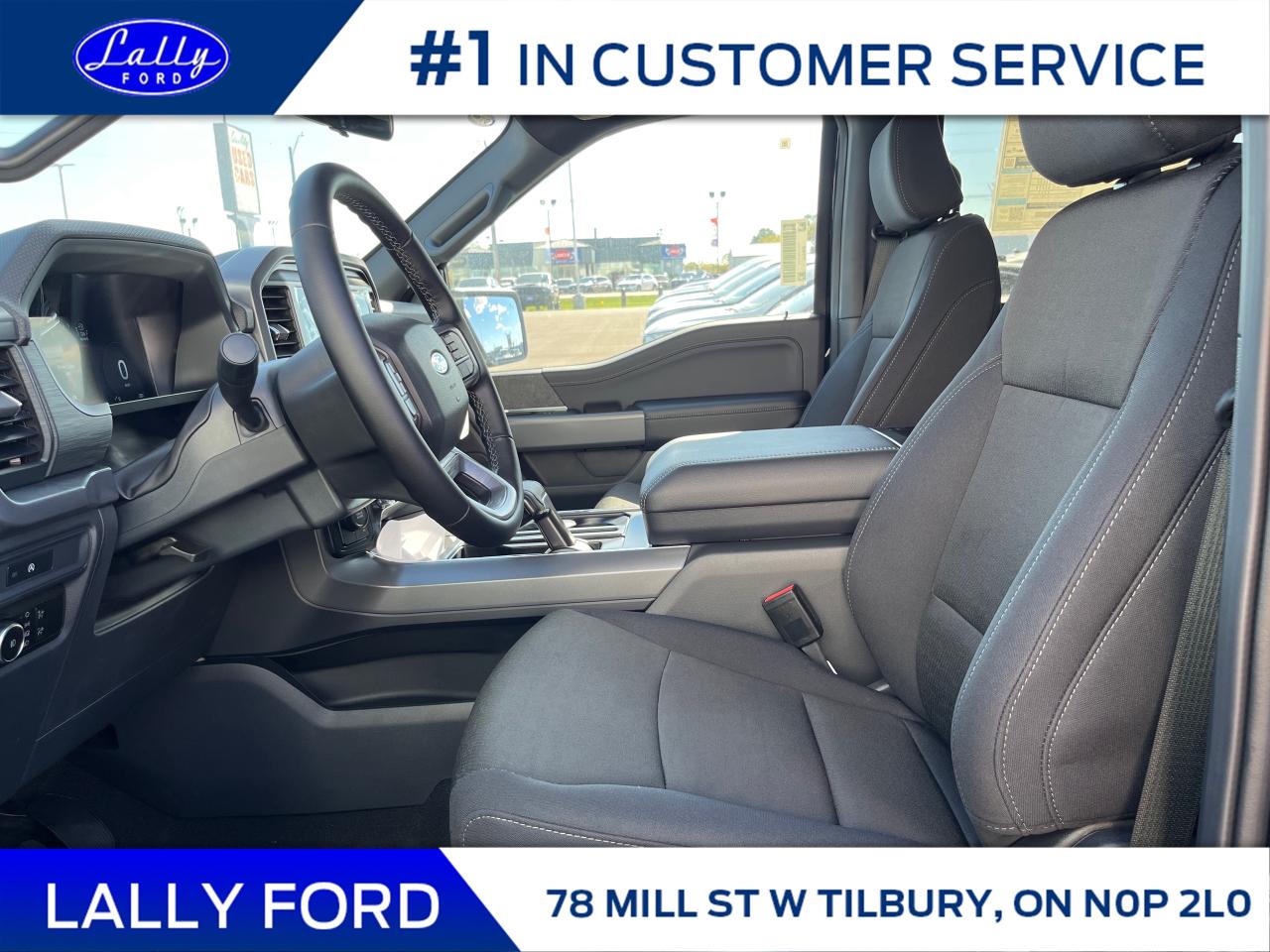 2025 Ford F-150 XLT Photo