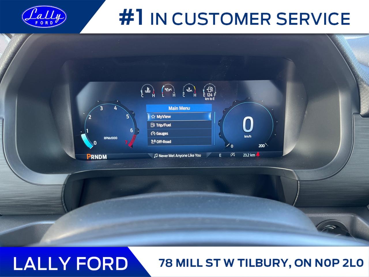 2025 Ford F-150 XLT Photo