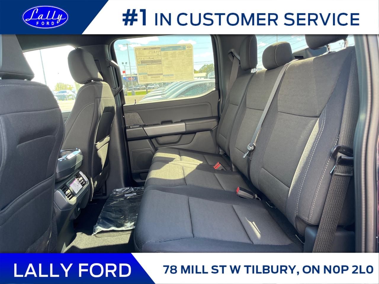 2025 Ford F-150 XLT Photo