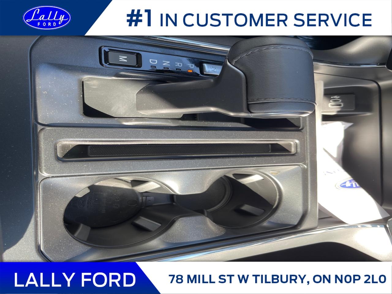 2025 Ford F-150 XLT Photo