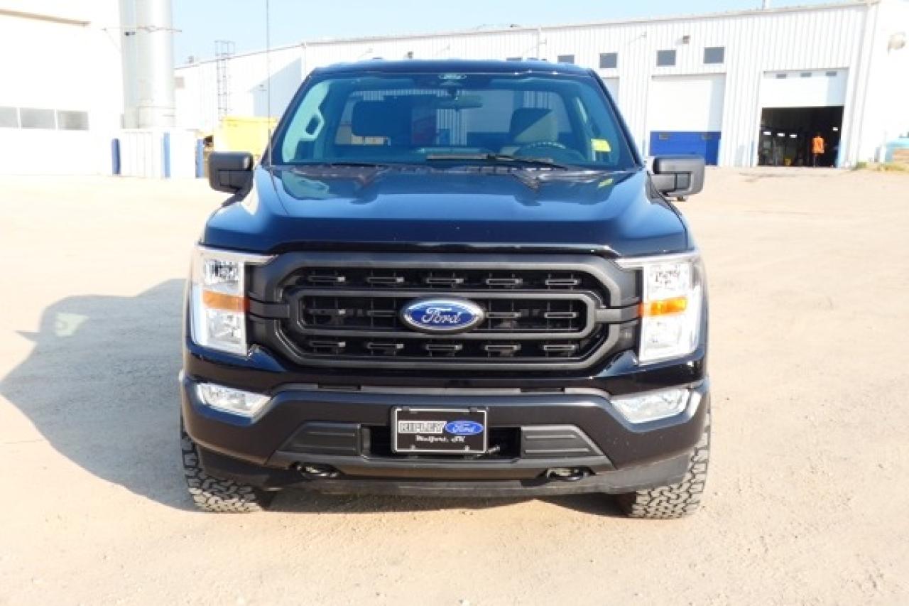 2022 Ford F-150 XL reg cab. ecoboost w/cloth seats, BUC - Photo #3