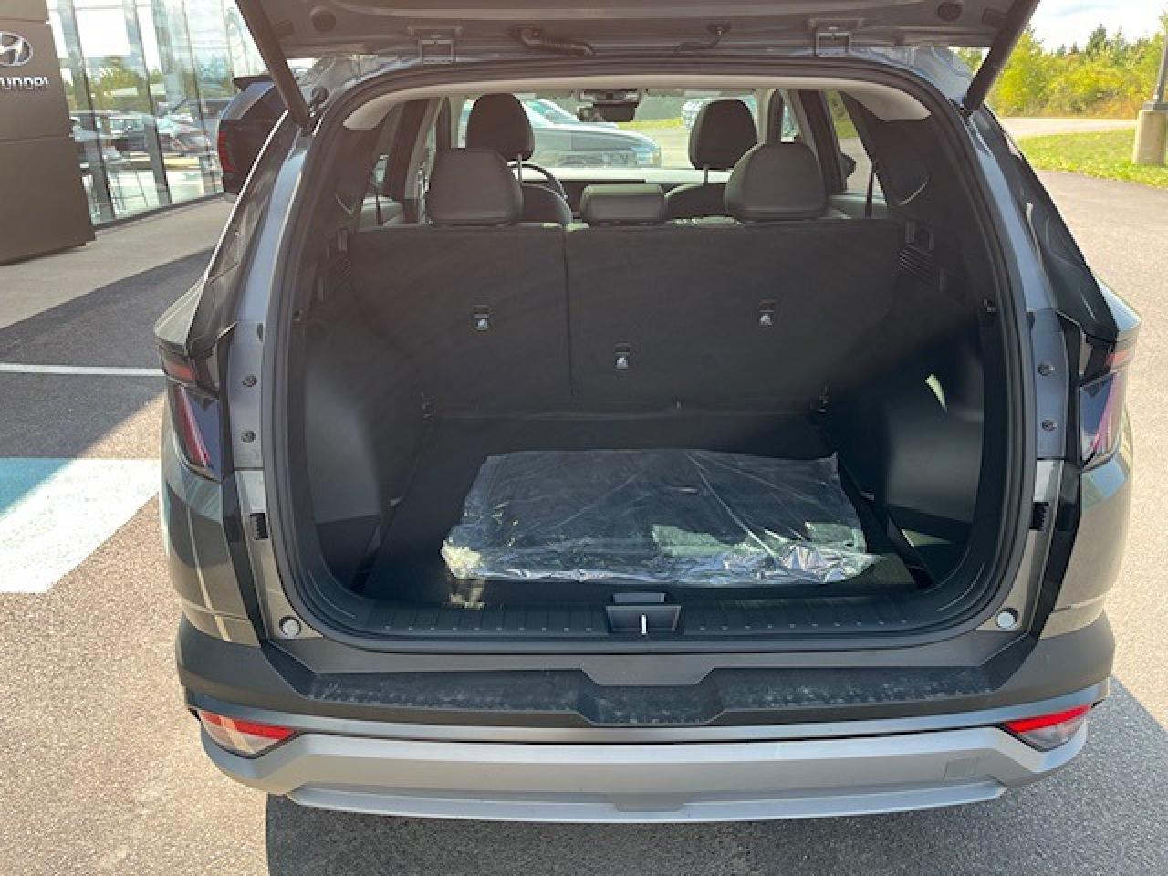 2025 Hyundai Tucson PREFERRED WITH TREND PKG Photo3