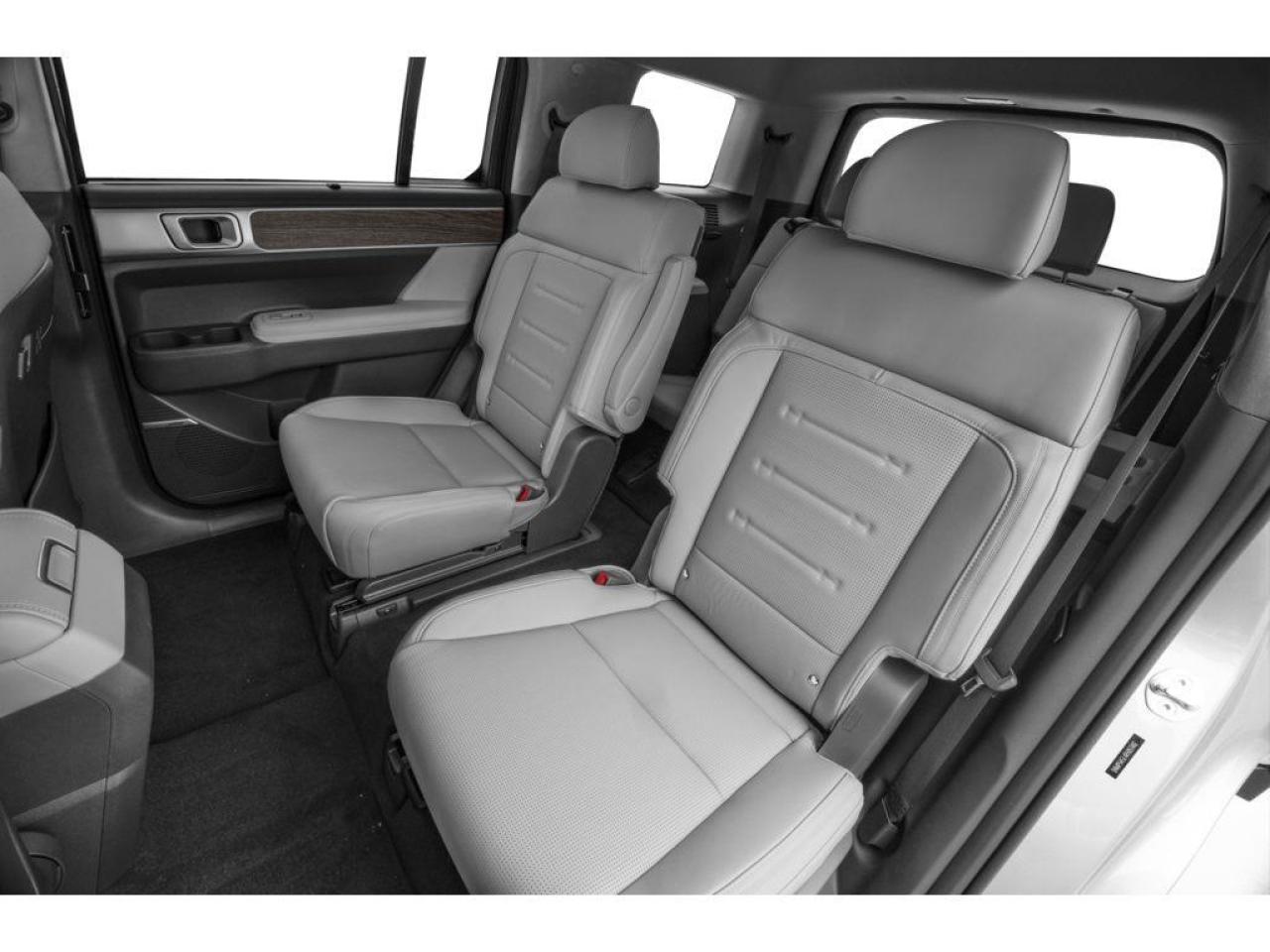 2025 Hyundai Santa Fe Ultimate Calligraphy Photo