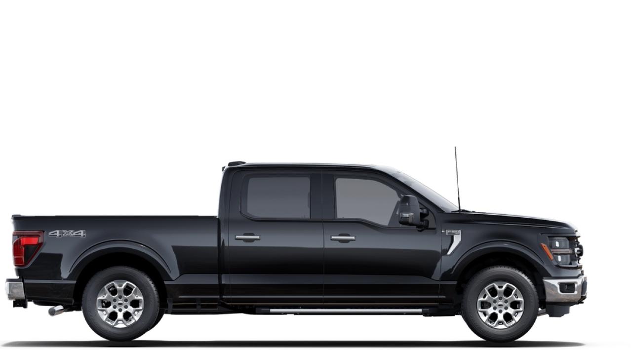 2025 Ford F-150 XLT Photo
