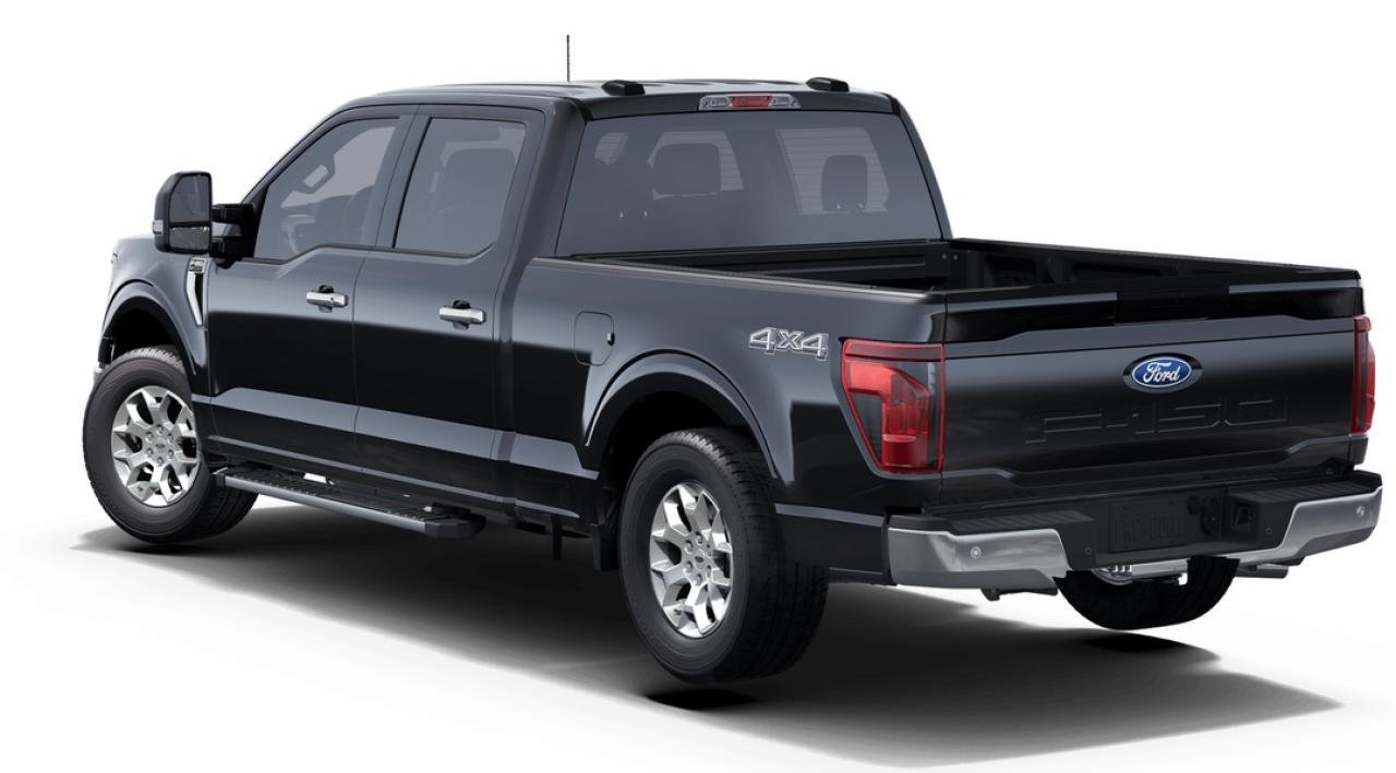 2025 Ford F-150 XLT Photo