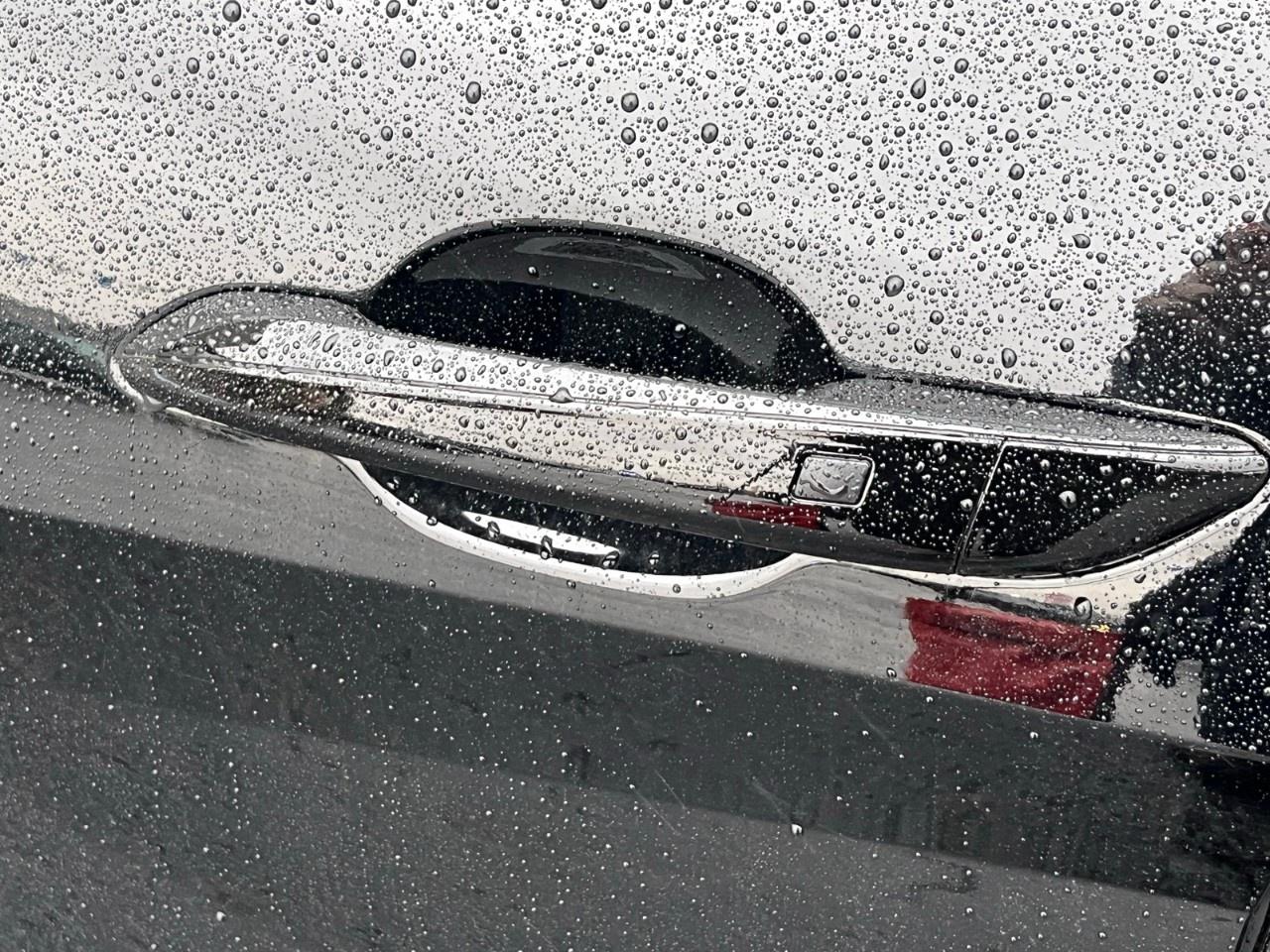 2025 Hyundai Elantra Preferred IVT Photo