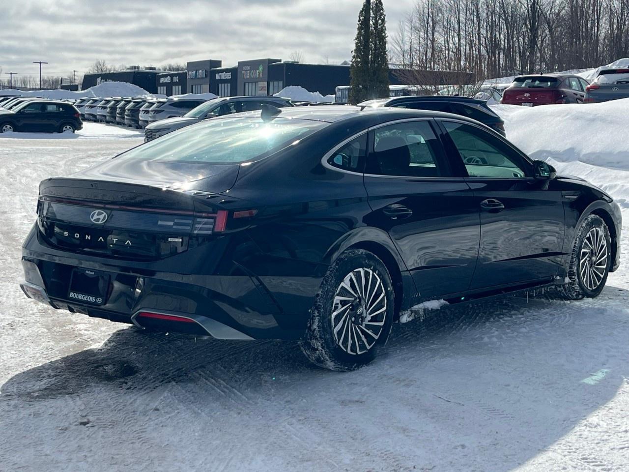 2026 Hyundai Sonata Hybrid Preferred-Trend FWD Photo