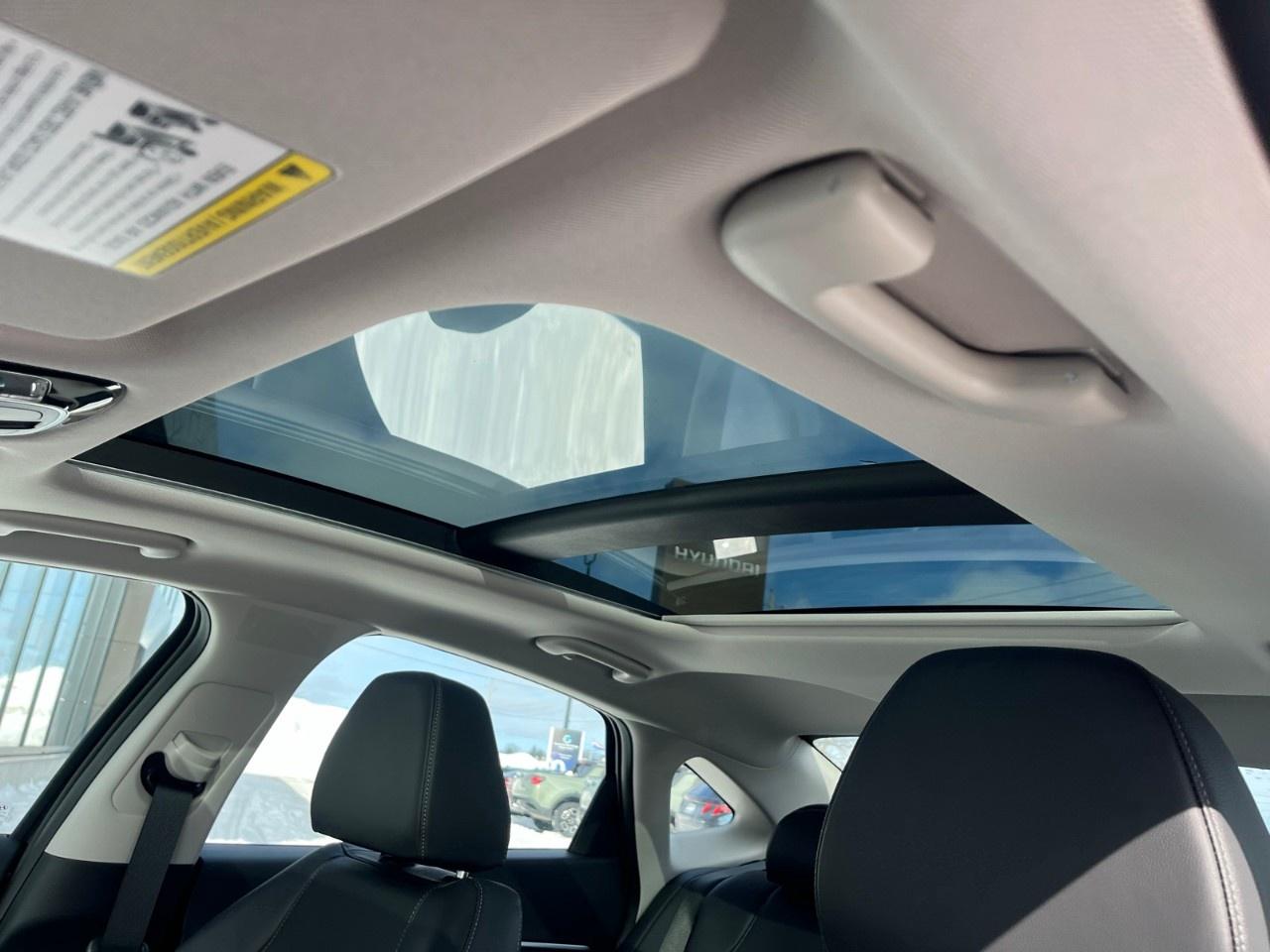 2026 Hyundai Sonata Hybrid Preferred-Trend FWD Photo