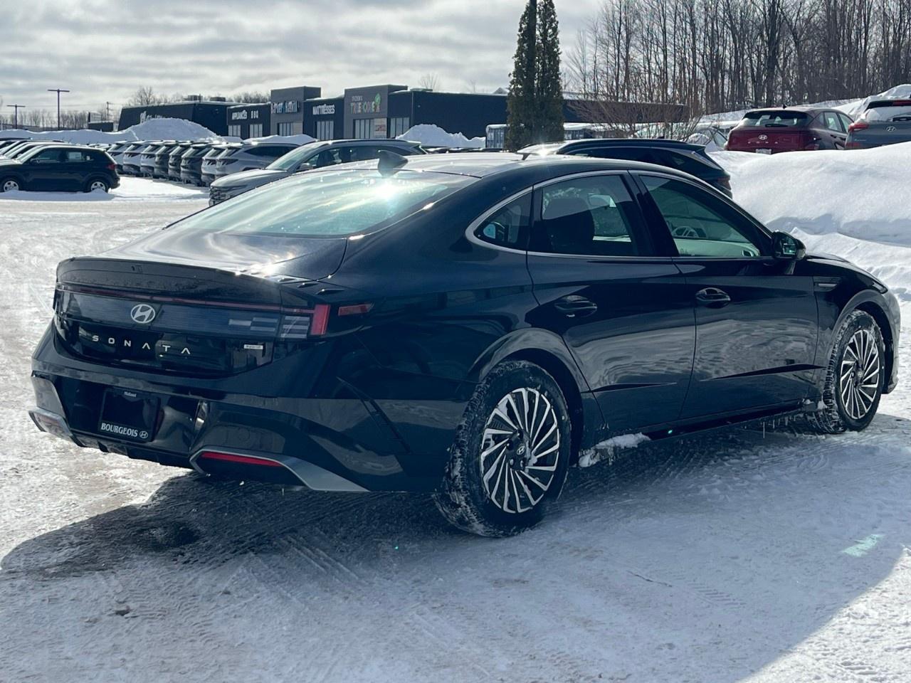 2026 Hyundai Sonata Hybrid Preferred-Trend FWD Photo