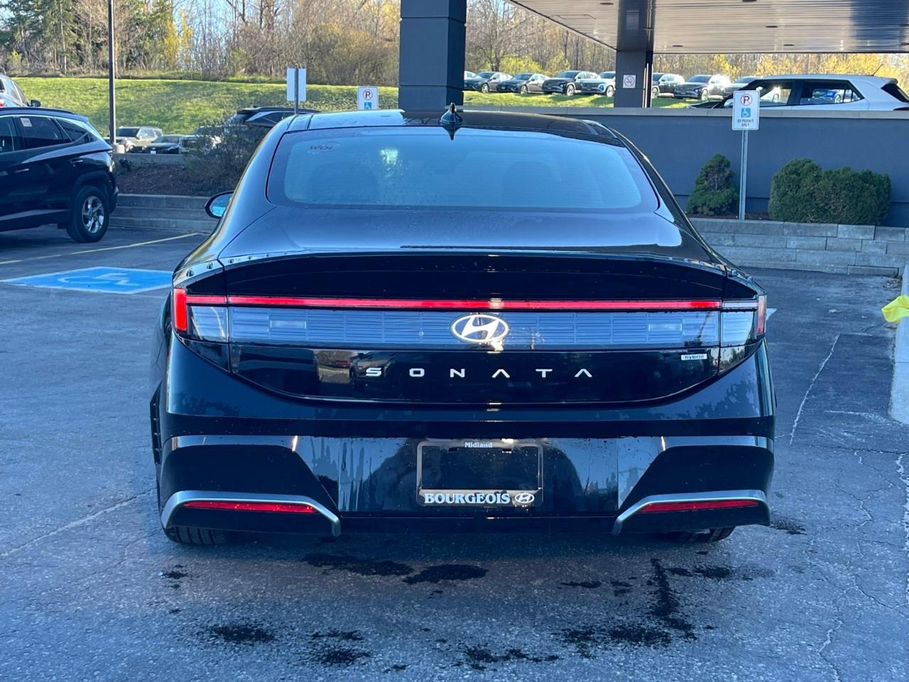 2026 Hyundai Sonata Hybrid Preferred-Trend FWD Photo