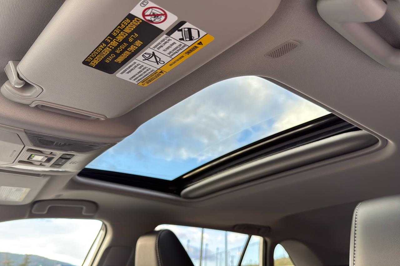 2025 Toyota RAV4 XLE HYBRID Photo