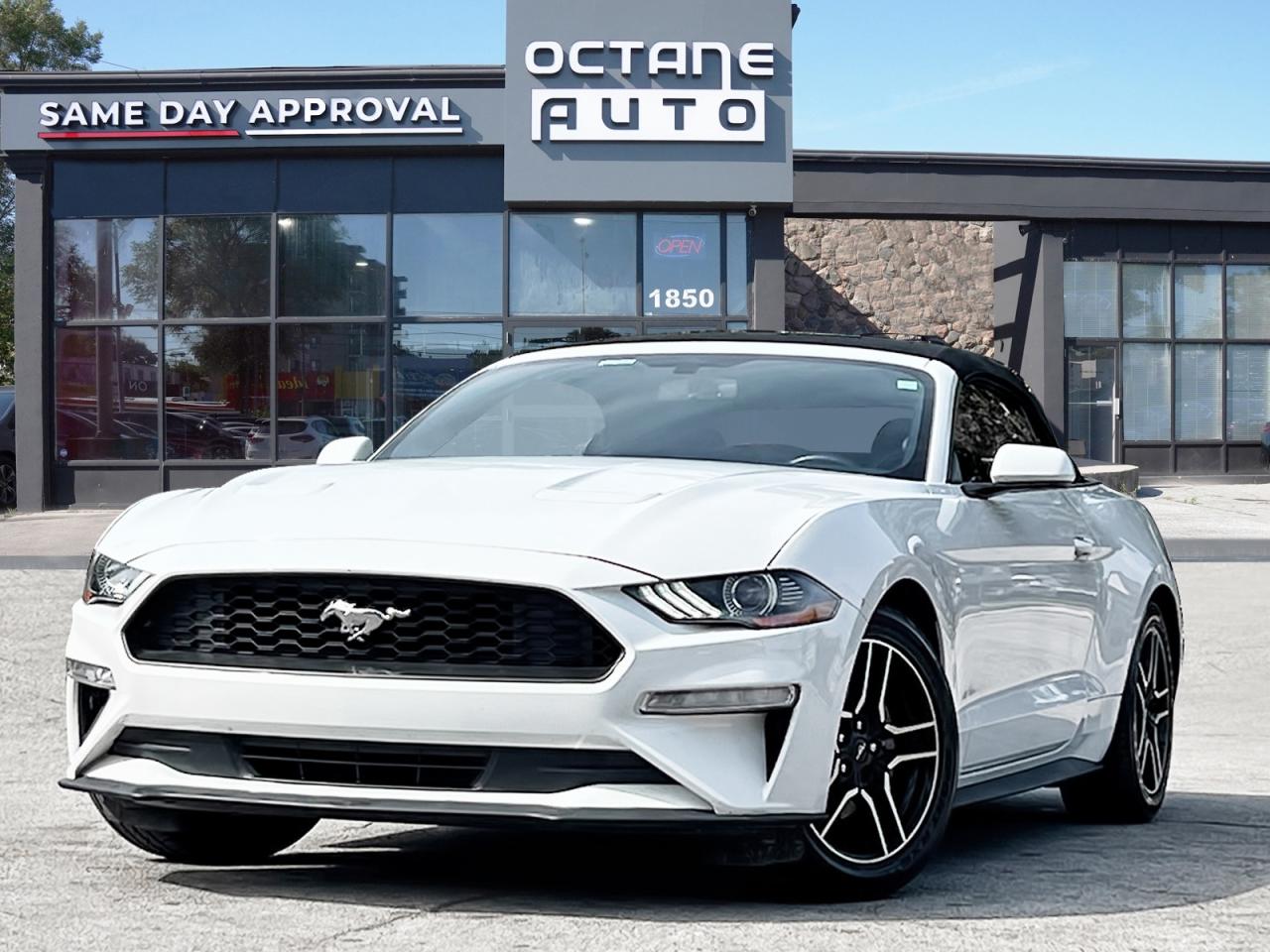 Used 2019 Ford Mustang EcoBoost Convertible for sale in Scarborough, ON