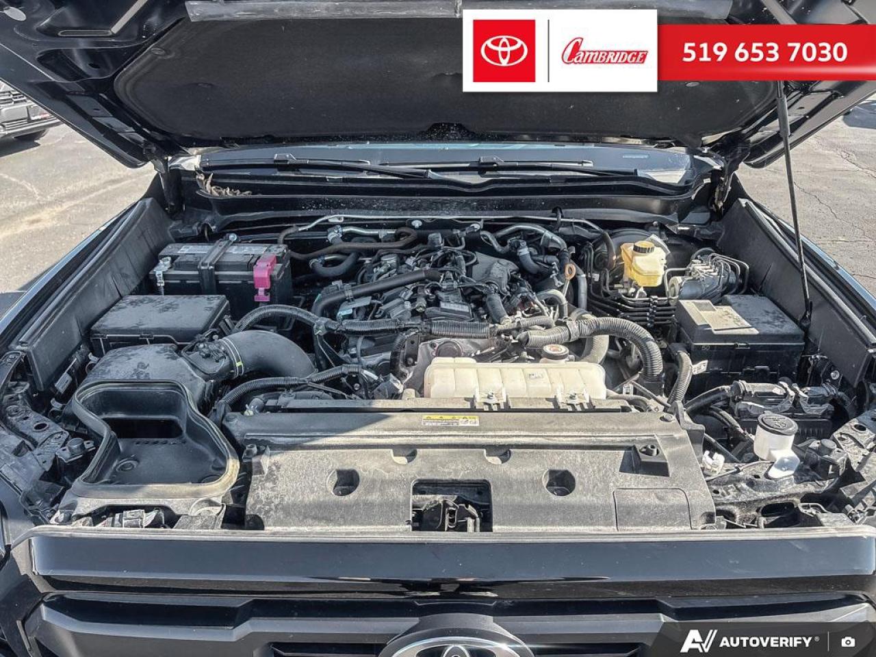 2024 Toyota Tacoma  Photo