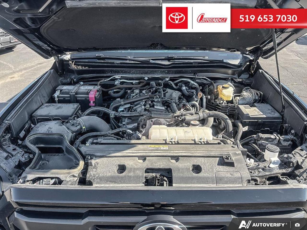 2024 Toyota Tacoma  Photo