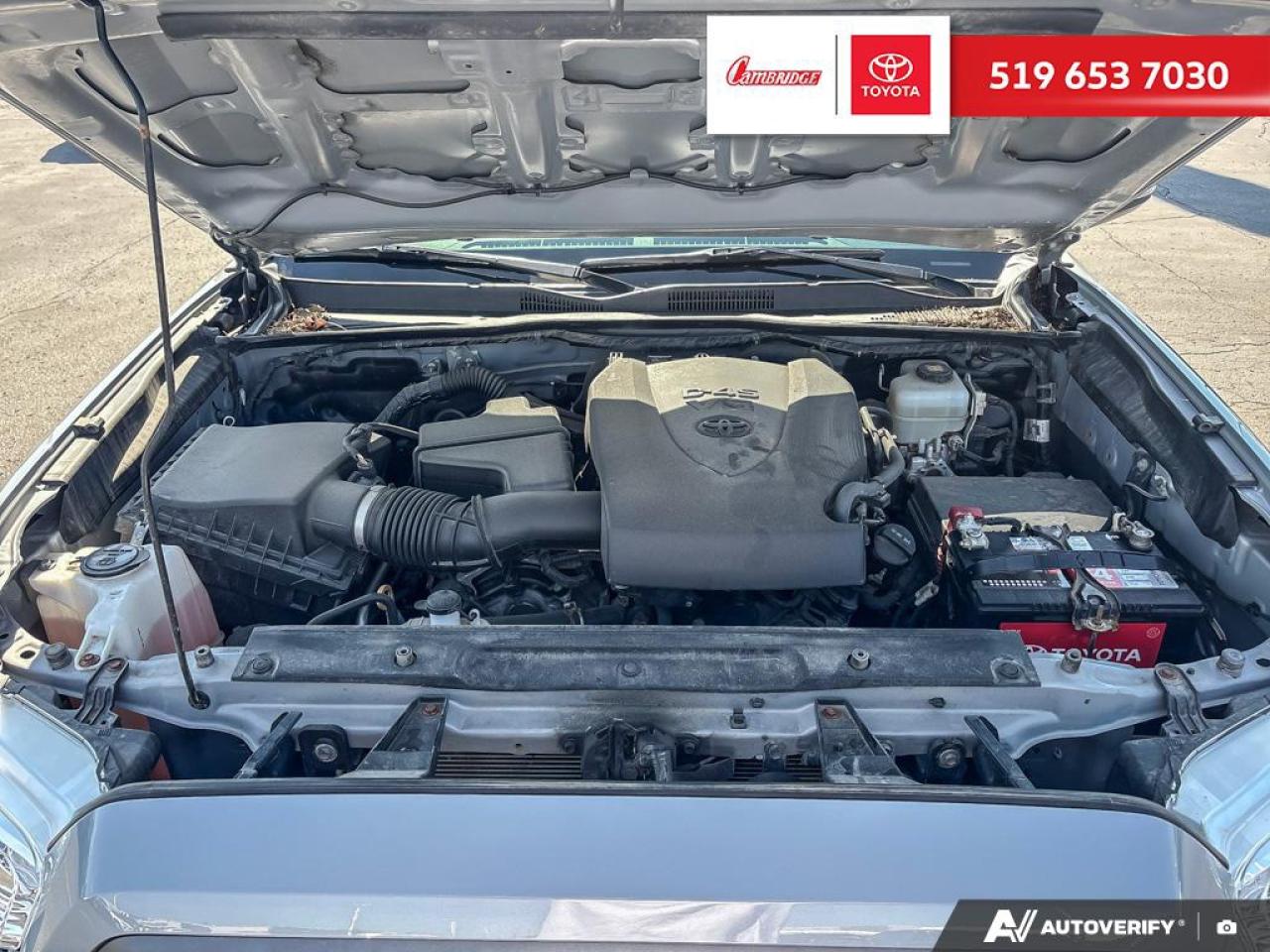 2020 Toyota Tacoma  Photo