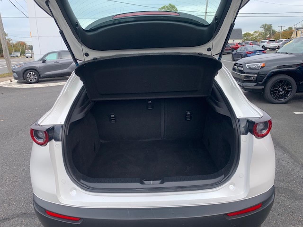 2021 Mazda CX-30 GX Photo