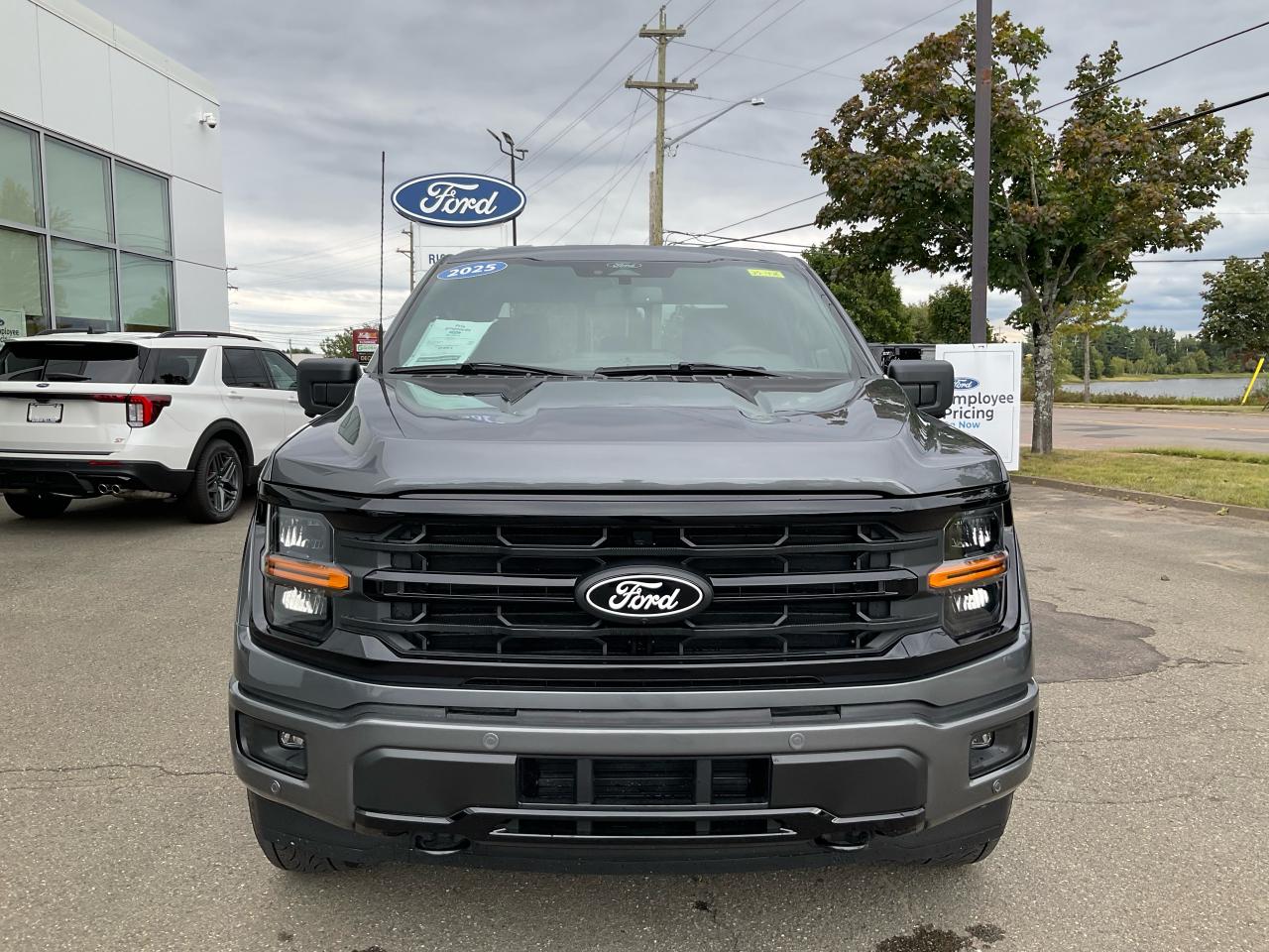 2025 Ford F-150 XLT Photo
