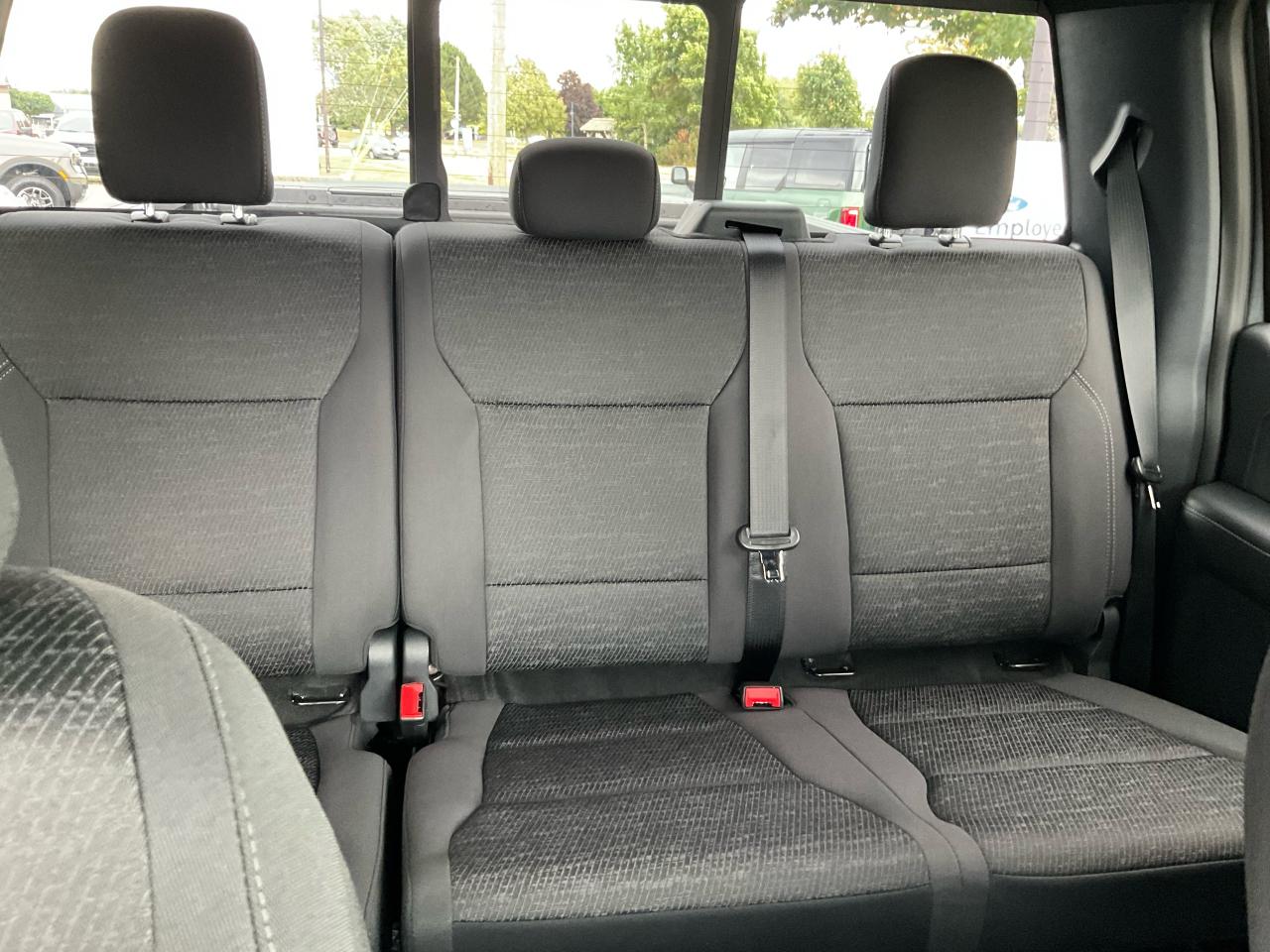 2025 Ford F-150 XLT Photo5