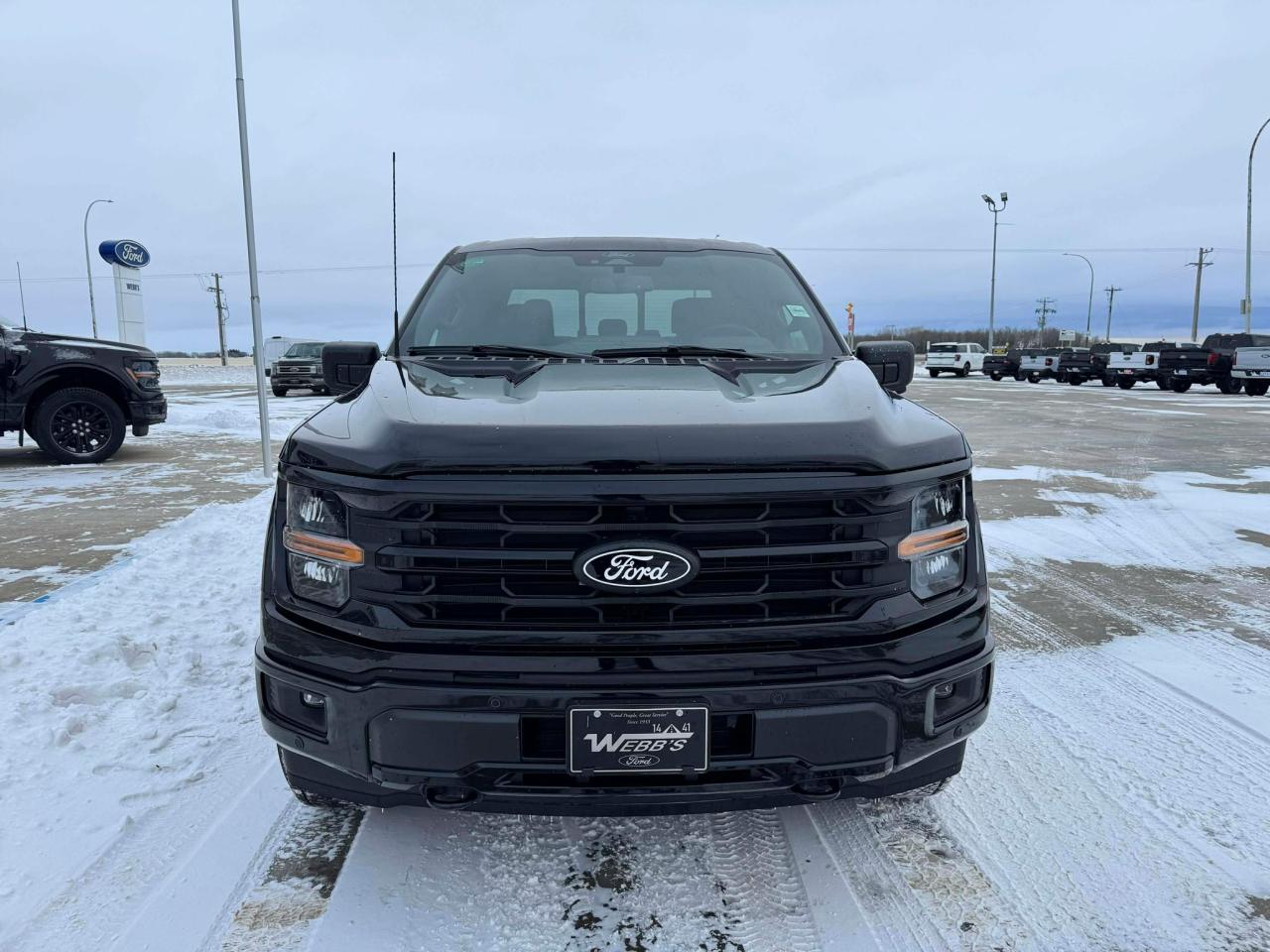 2025 Ford F-150 XLT 4WD SuperCrew 5.5' Box Photo4