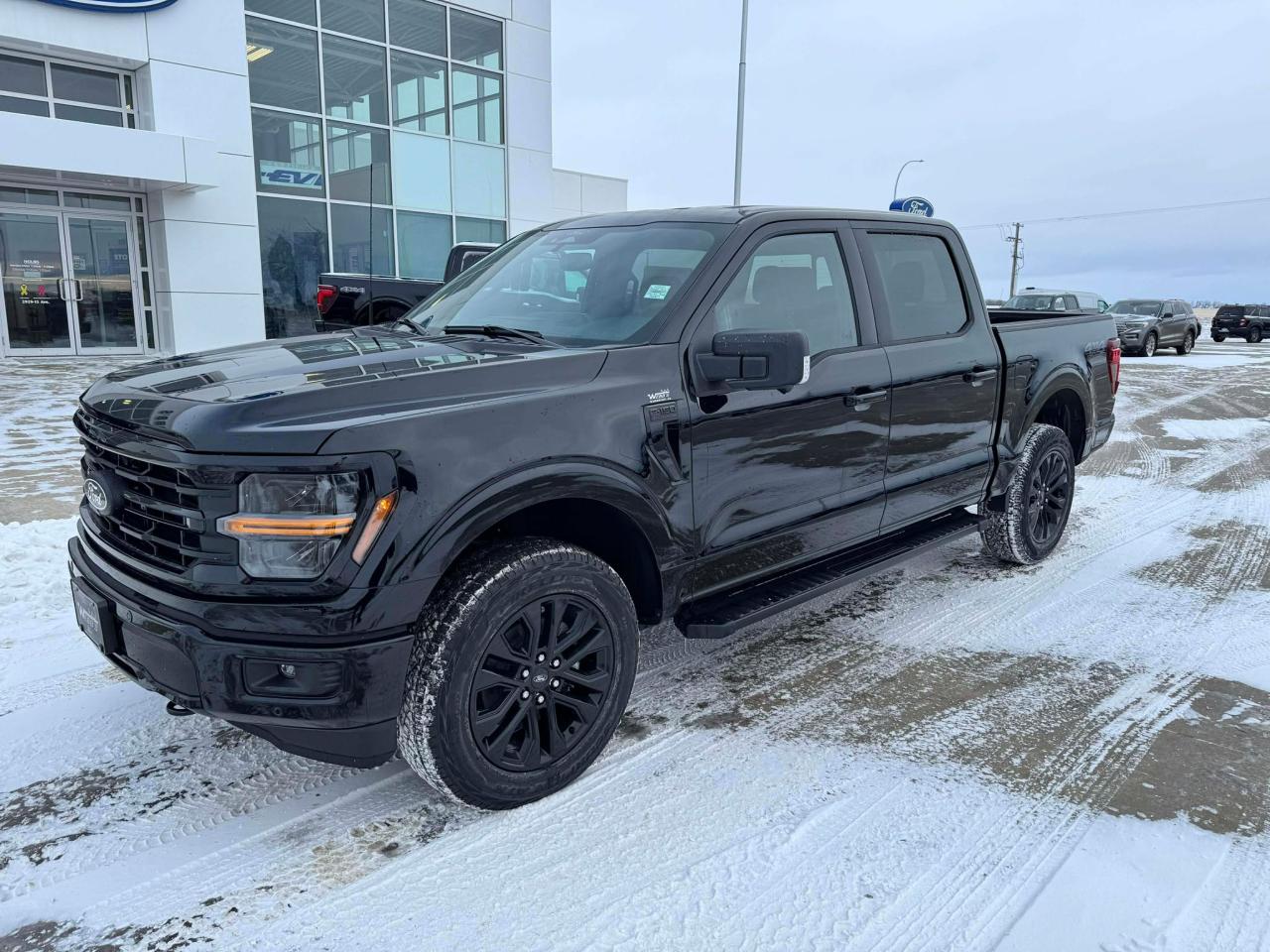 2025 Ford F-150 XLT 4WD SuperCrew 5.5' Box Photo0